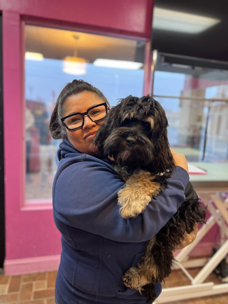 Dixie | Cockapoo | Bakersfield, CA