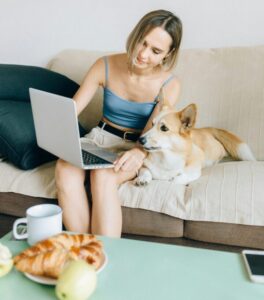 Summer Foods for Dogs