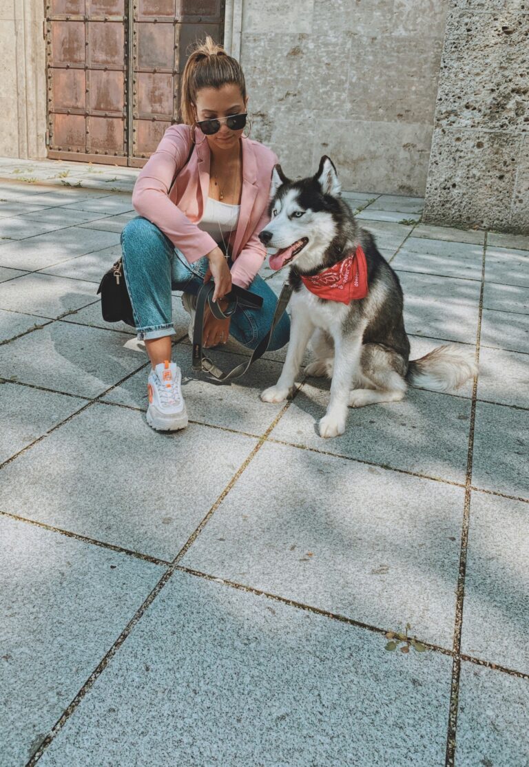 Keeping Your Dog Active When It’s Too Hot Outside