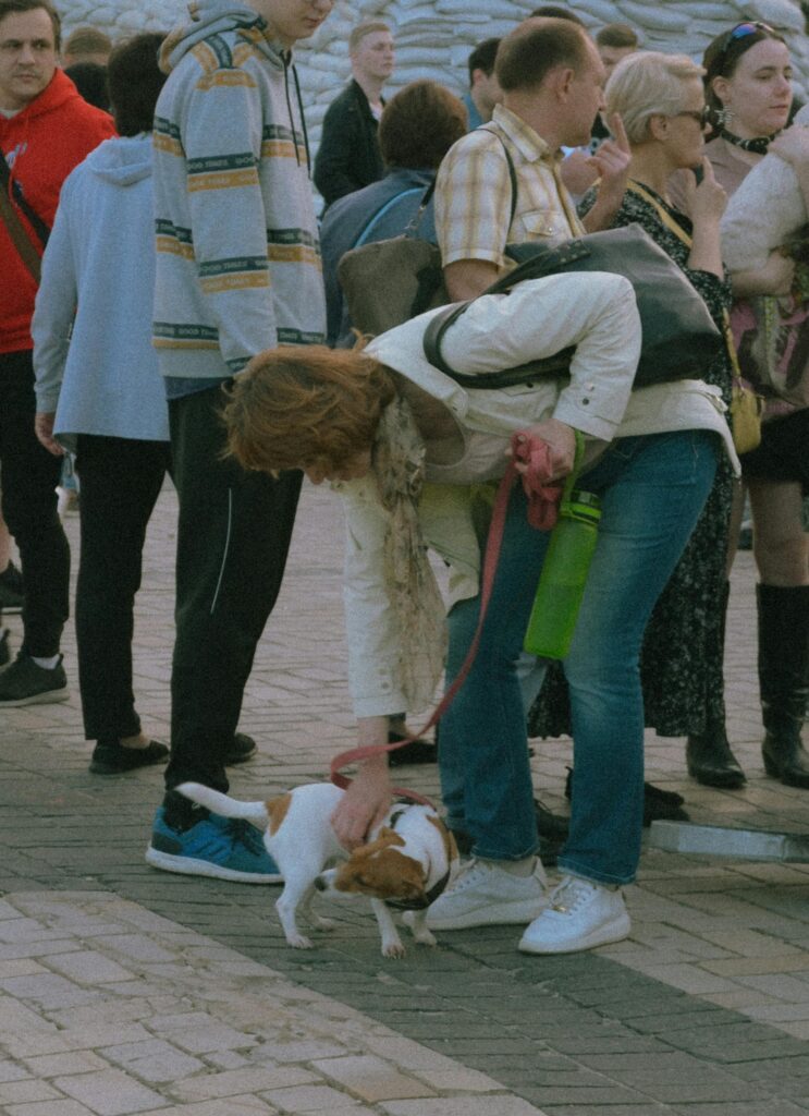 Socialization 101: Proven Confidence Boost for Dogs