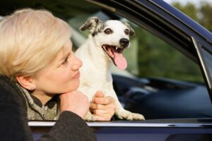 dogs overcome car anxiety