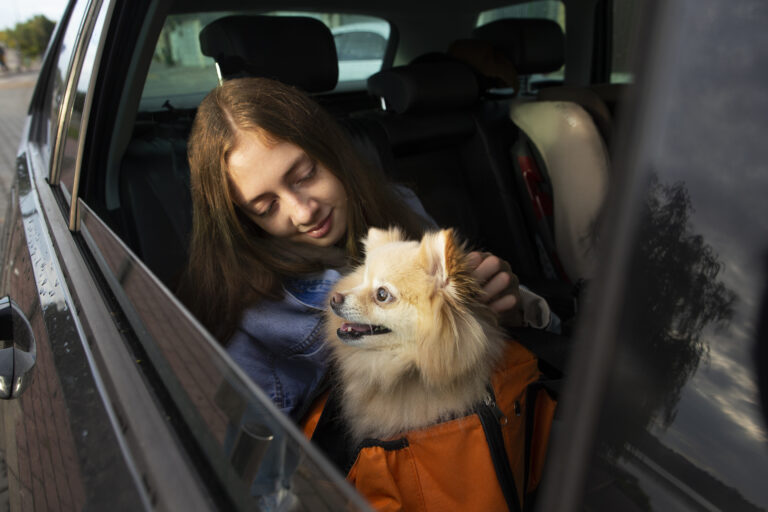 Helping dogs overcome car anxiety