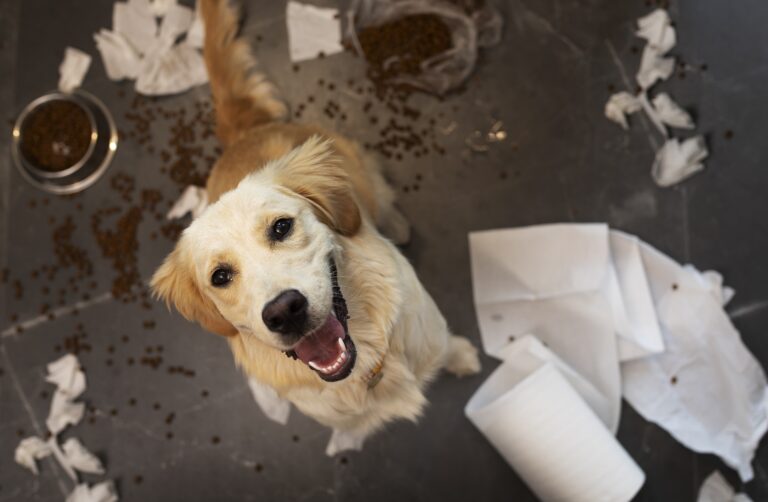 Stopping counter-surfing and food stealing.