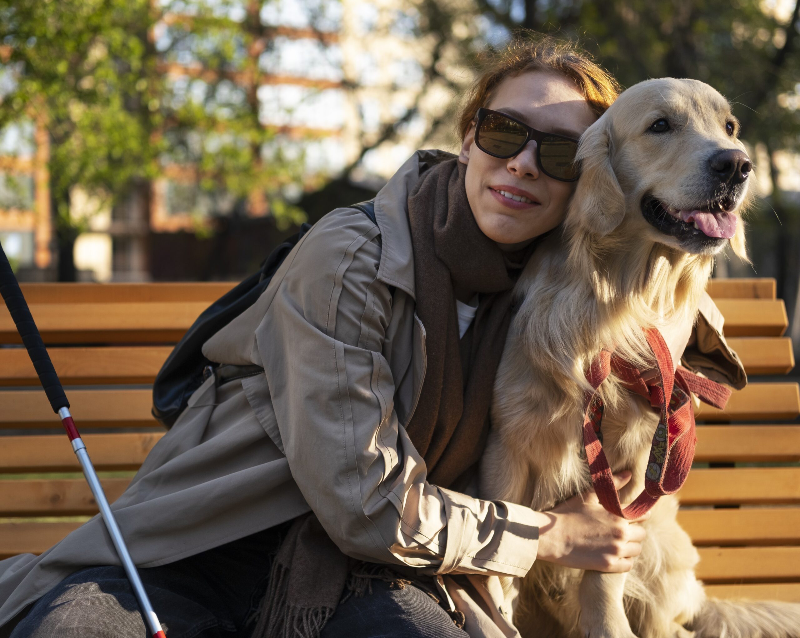 Service Dog Foundations: Focus and Task Training