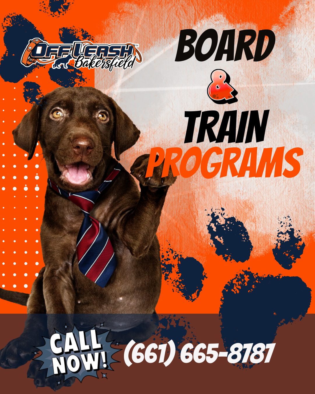 Board & Train Programs | Dog Training Bakersfield