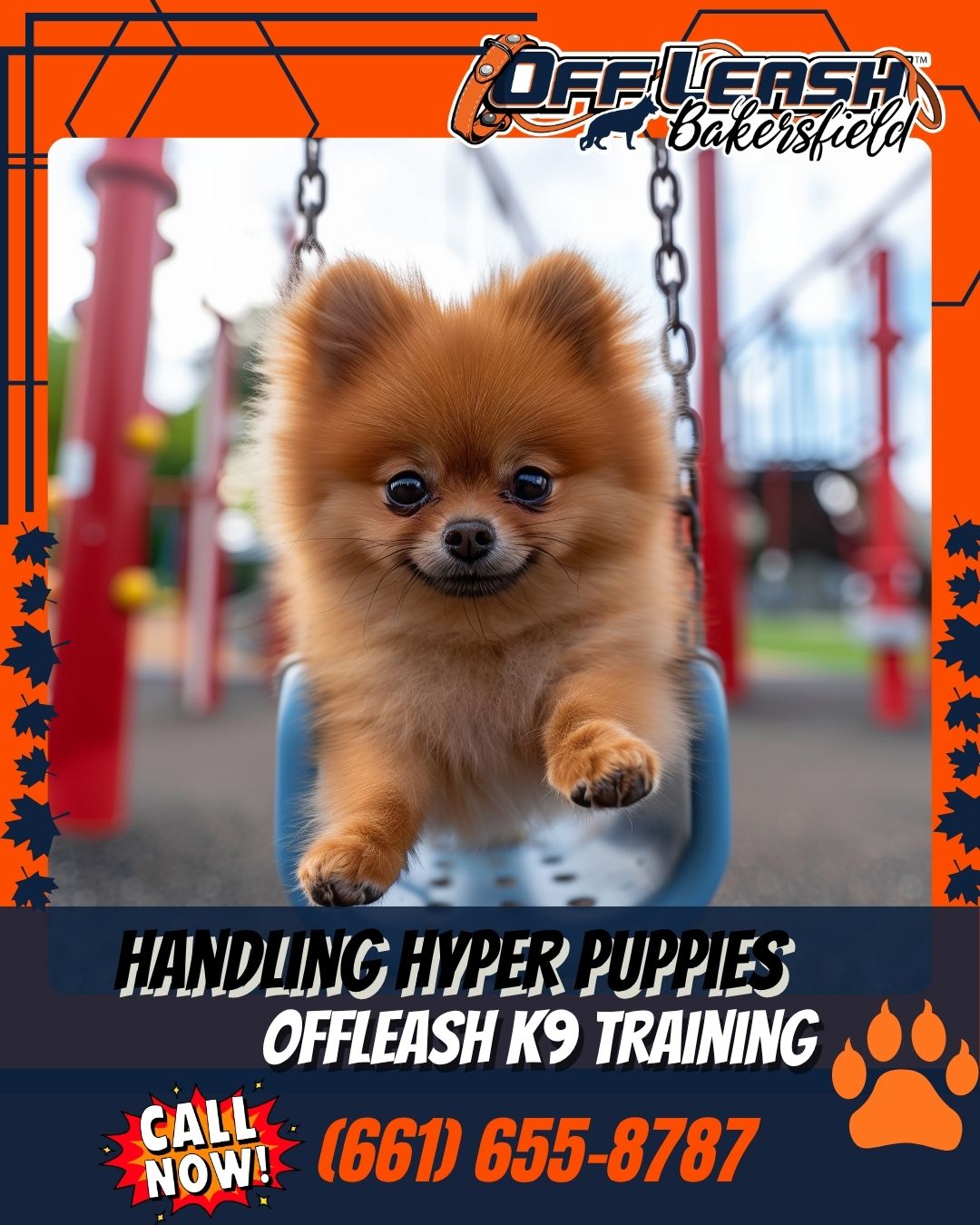 Handling Hyper Puppies – Redirecting Zoomies into Calm Behavior