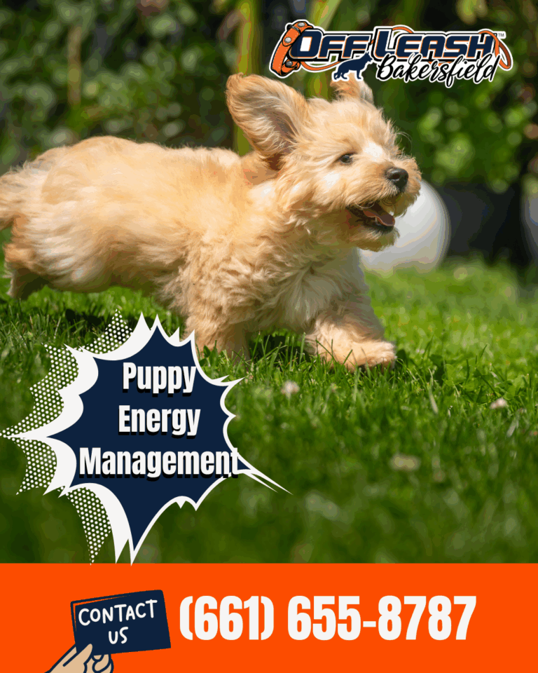 Puppy Energy Management