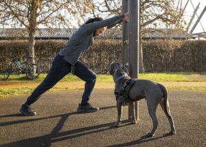 Train Smarter, Not Harder – The Off-Leash Way