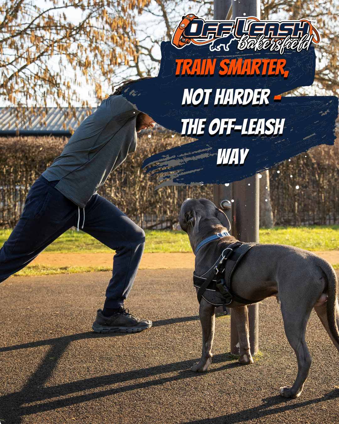 Train Smarter, Not Harder – The Off-Leash Way