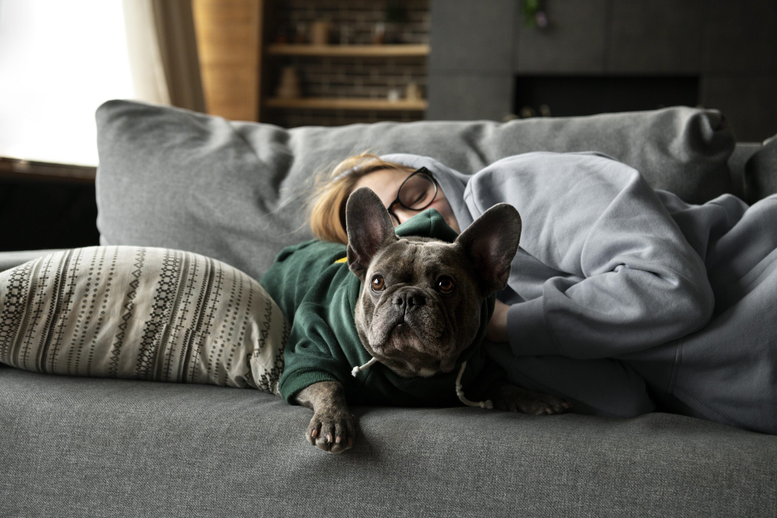 Teaching Your Dog Relaxation Techniques