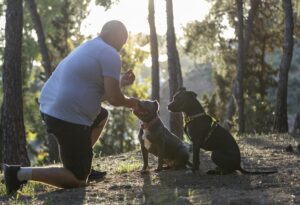 The Power of Consistency in Dog Training