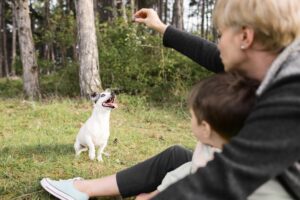 Understanding Thresholds in Dog Training