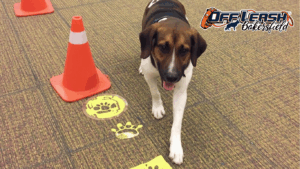 Pattern Games That Build Confidence and Control