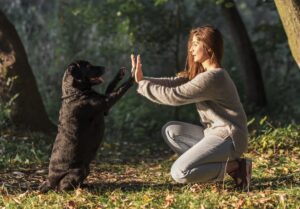 The Amazing Power of Timing in Dog Training
