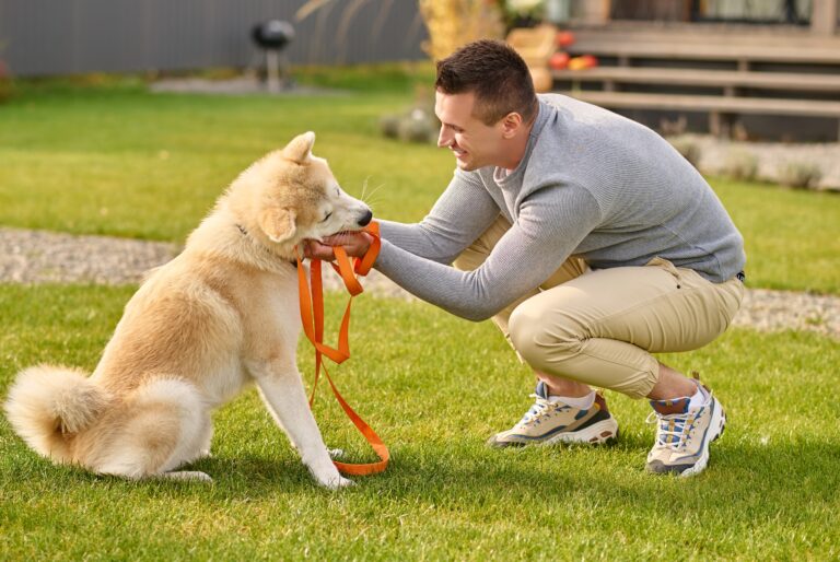 The Amazing Power of Timing in Dog Training