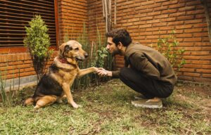 Creating Reliable Obedience in New Environments