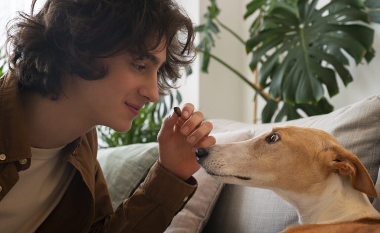 How Scent Work Improves a Dog’s Confidence