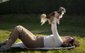 The Importance of Mental Enrichment for High-Energy Dogs