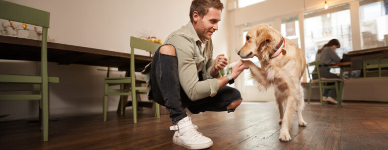 Managing Your Dog’s Arousal Levels During Training