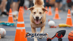 How to Build Your Dog’s Environmental Confidence