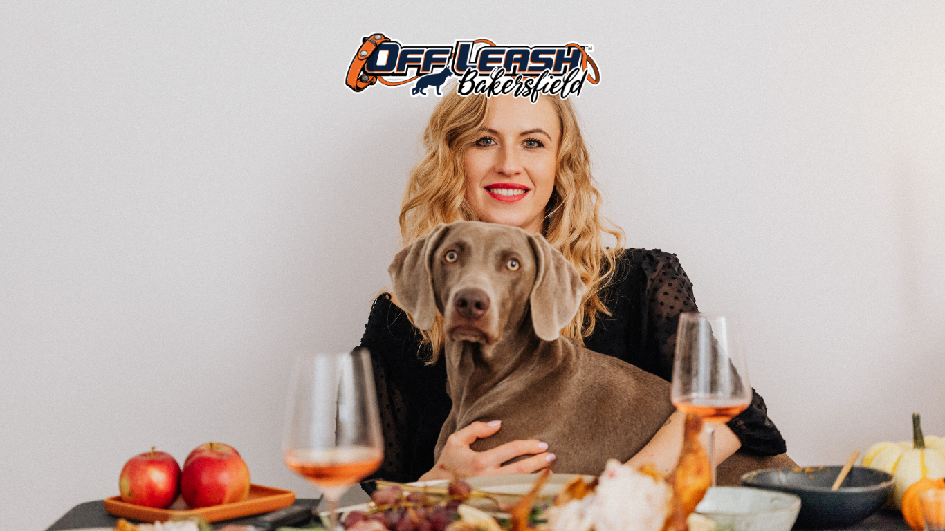 Family Gathering: Why Your Dog Can’t Settle and How to Help