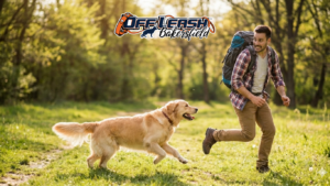 People Wearing Hats or Backpacks: Fear, Reactivity, and Training Solutions