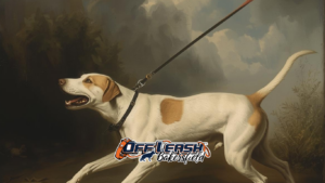 Leash Reactivity: How to Stop It Before It Starts