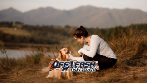 Mistakes dog owners make when training