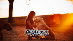 Mistakes dog owners make when training