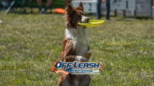 Distance control commands