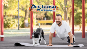 dog training etiquette in public places