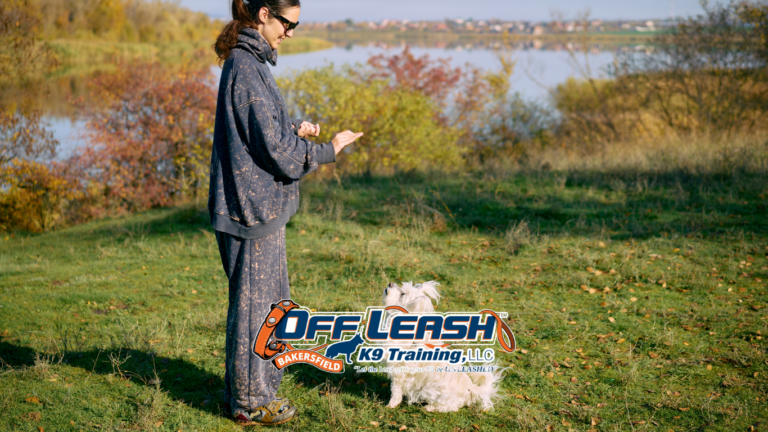 Preventing frustration-based behaviors