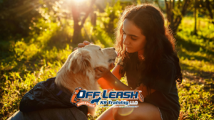 Building confidence in young dogs