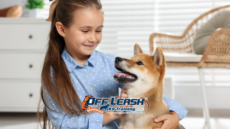 Managing dogs around children safely