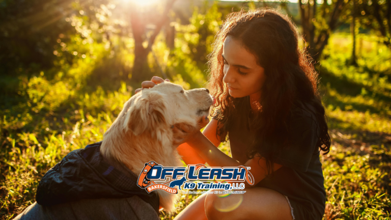 Preventing Fear Periods in Dogs from Becoming Behavior Problems