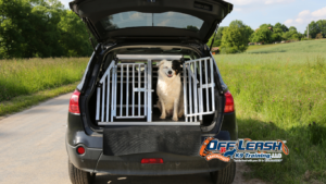Load Up Command: How to Teach Your Dog to Load Up Calmly