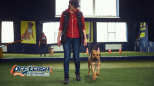 Heel Command Training: How to Stop Leash Pulling Fast