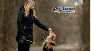 Without Verbal Commands: Training Dogs to Respond Reliably 