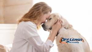 Teach a Puppy to Respect You: How to Build Trust and Boundaries Early