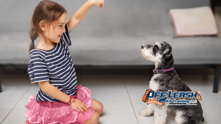 Teach a Puppy to Respect You: How to Build Trust and Boundaries Early