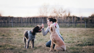 Potty Train: How Long Does It Take to Potty Train a Dog? 