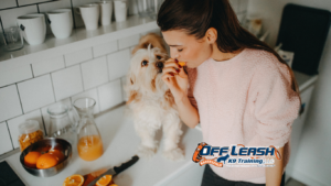 Not to Bite: Effective Ways to Train a Dog Not to Bite