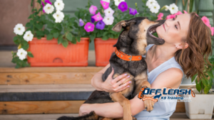 Not to Bite: Effective Ways to Train a Dog Not to Bite