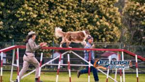 Won’t Come When Called Dog Training Help