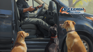 Stay Neutral: Teaching Dogs to Stay Neutral Around Delivery Drivers