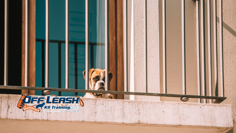 React at Apartment Complexes: Why Dogs React at Apartment Complexes