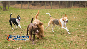 Boundaries: Why Dogs Need Boundaries