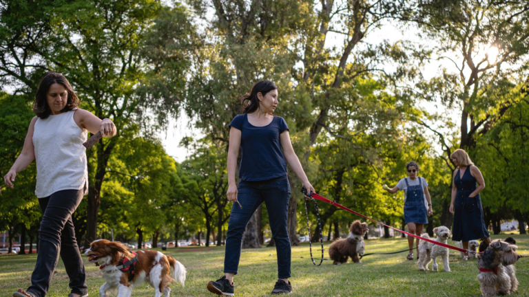 Public Manners: Why Dogs Need Better Public Manners
