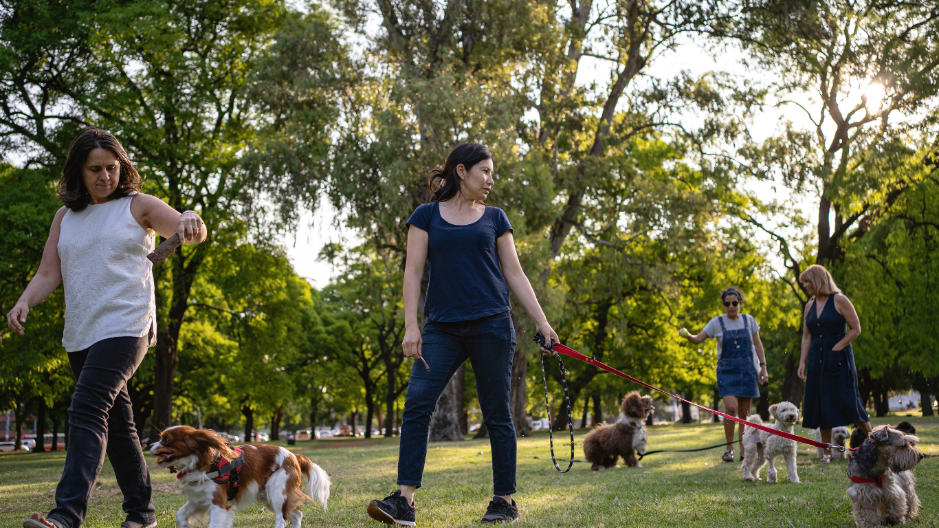 Public Manners: Why Dogs Need Better Public Manners