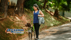 Calm Walking: How Dogs Learn Calm Walking Behavior